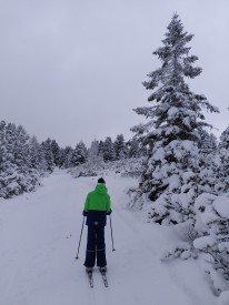 Sch&uuml;ler*in f&auml;hrt Ski