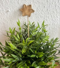 winterliche Pflanzen