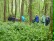 Spaziergang im Wald.