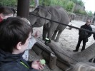 Ein Besuch im Zoo Münster. Im Hintergrund die Elefanten